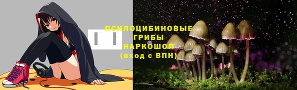 бутират Горняк