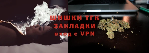 мяу мяу мука Горно-Алтайск
