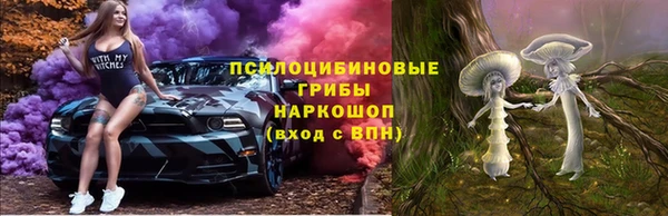 мяу мяу мука Горно-Алтайск