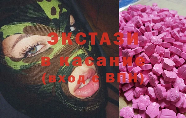 гашик Гусев